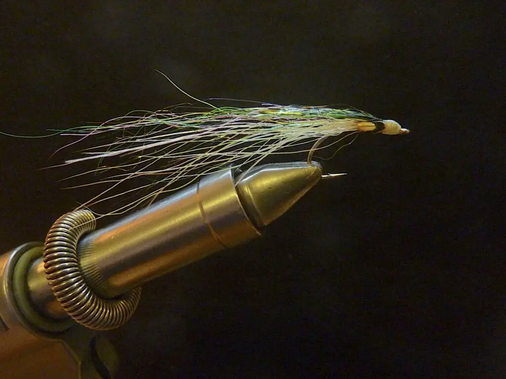 Coastal Cutthroat Streamer Pattern