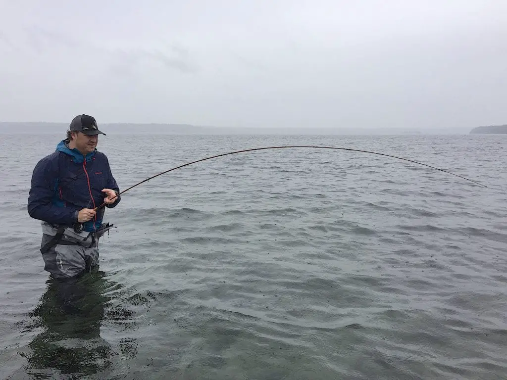 coastal cutthroat in salt water