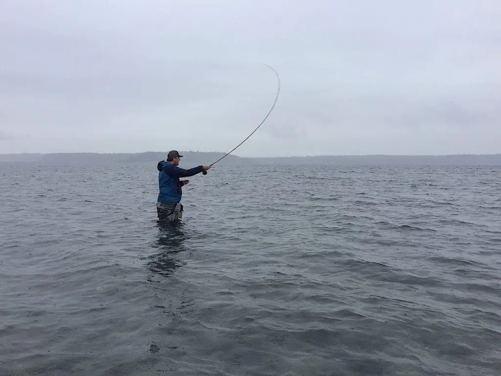 coastal cutthroat in salt water