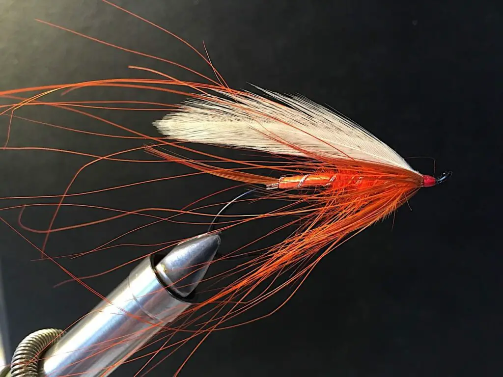 Syd Glasso Polar Shrimp Spey Fly