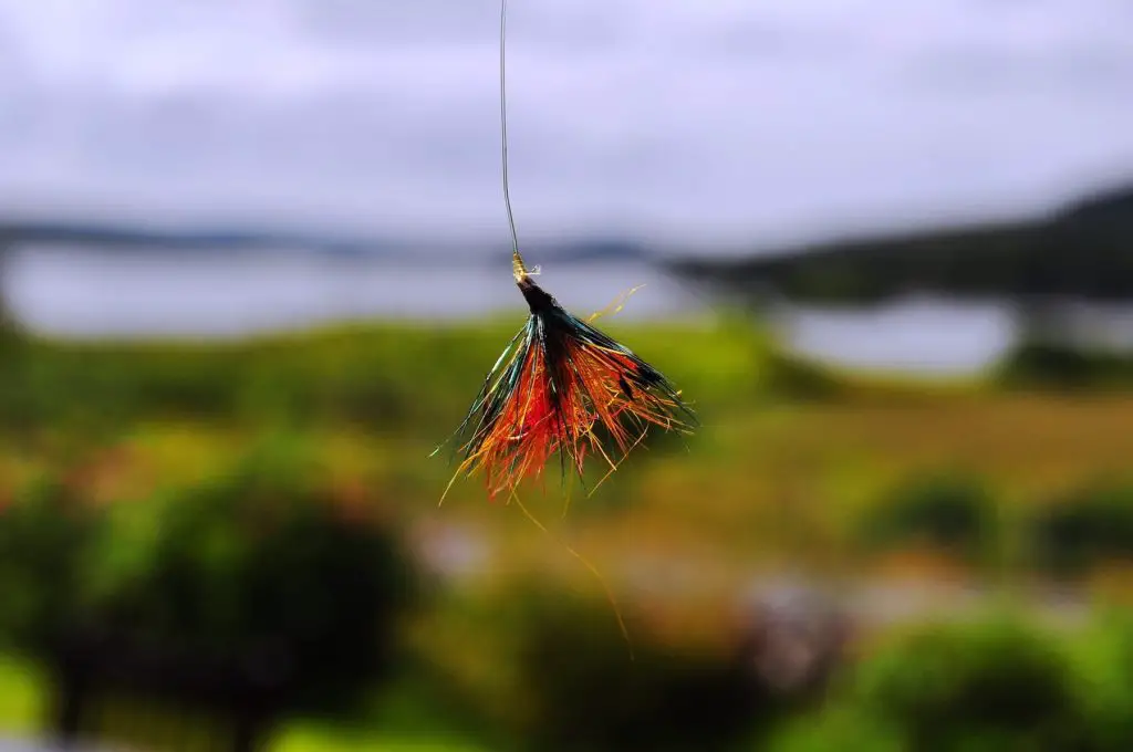 A fly for fly fishing used at Ballynahinch Castle, Connemara, Ireland 