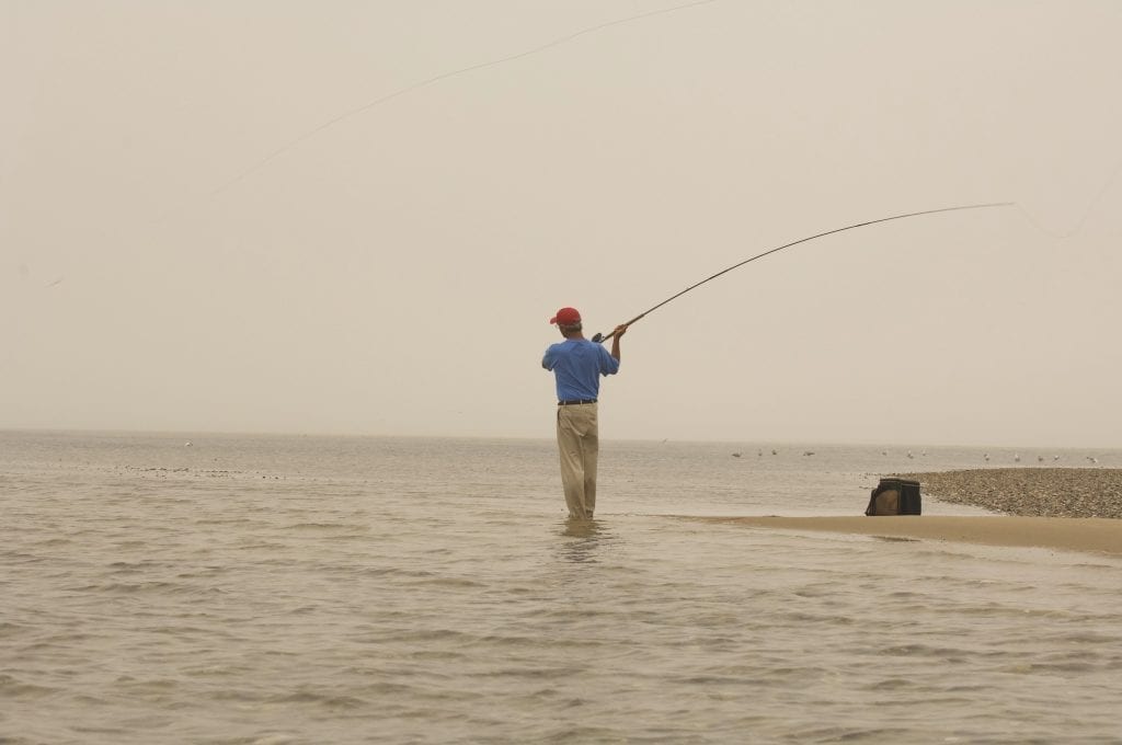 Fly Fishing Stripers in Cape Cod