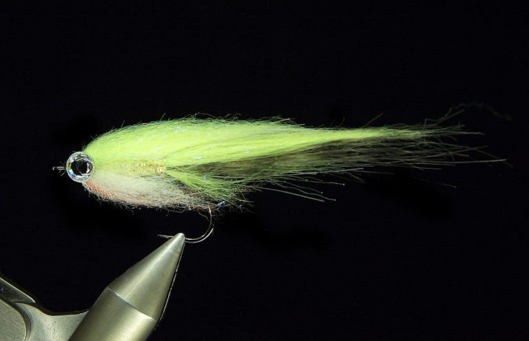 perch streamer fly