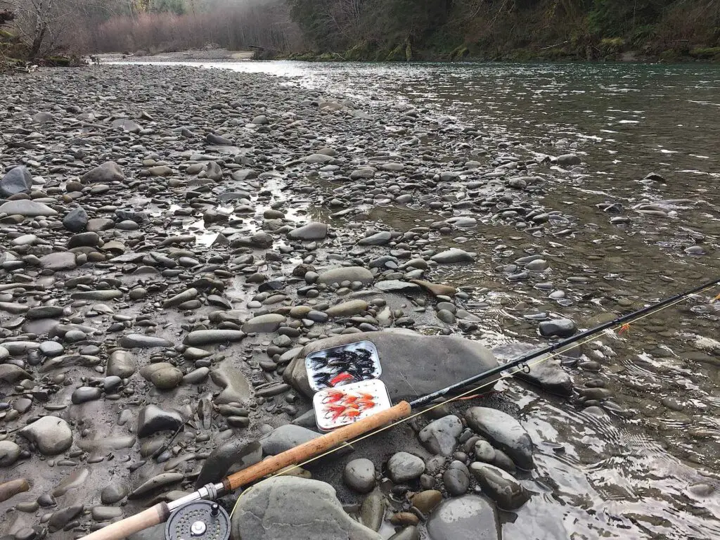 A fly rod with flies