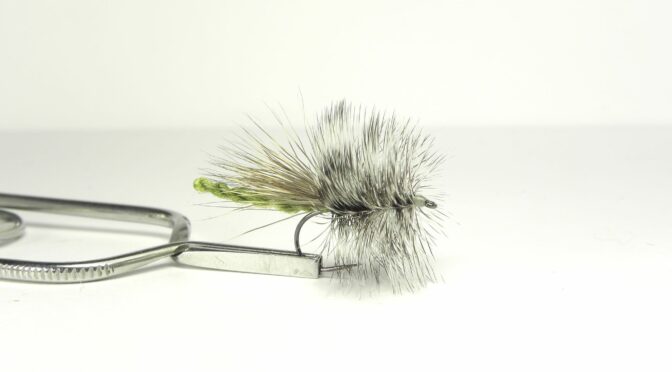 11 Best Trout Flies to Cover your Fishing Season
