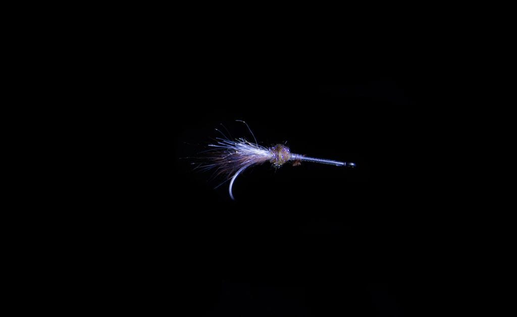 Sea Trout Fly Shrimp I