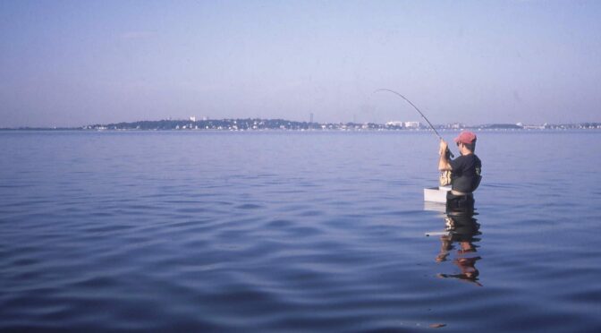 ‘Cause I love that dirty water – Fly Fishing Boston Harbor