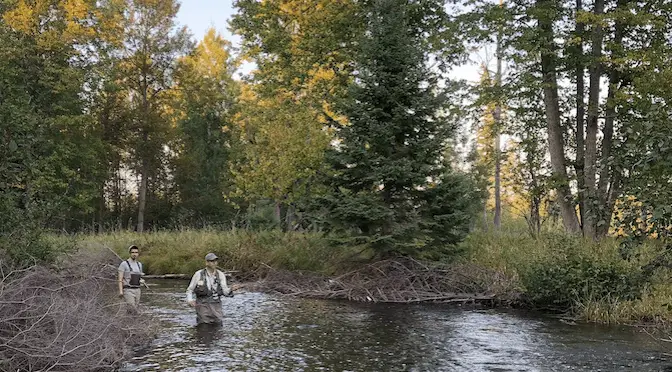 Fishing Hemingway’s Last Good Country