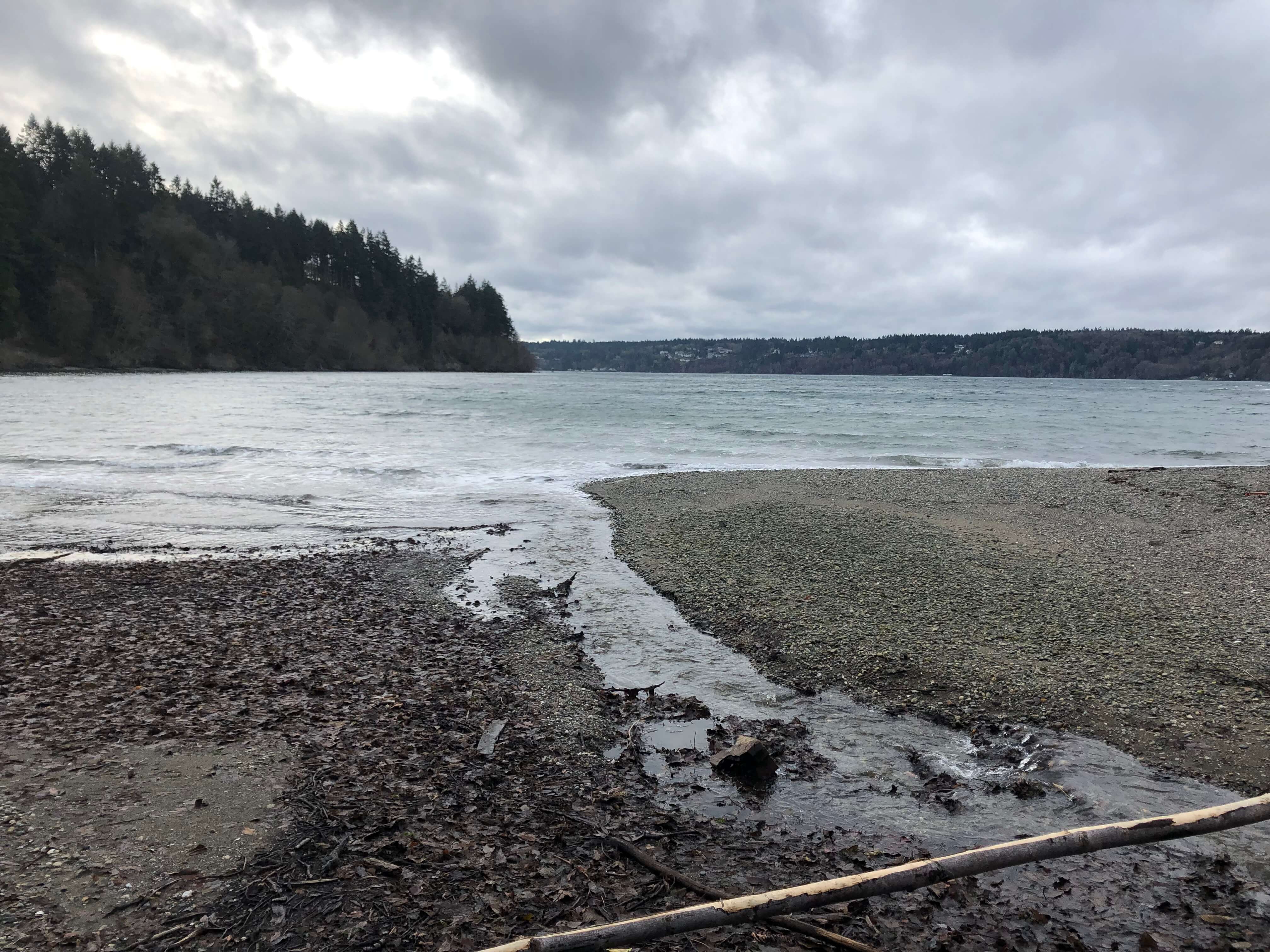 Puget Sound Fishing: Winter Salmon on Trout Tackle