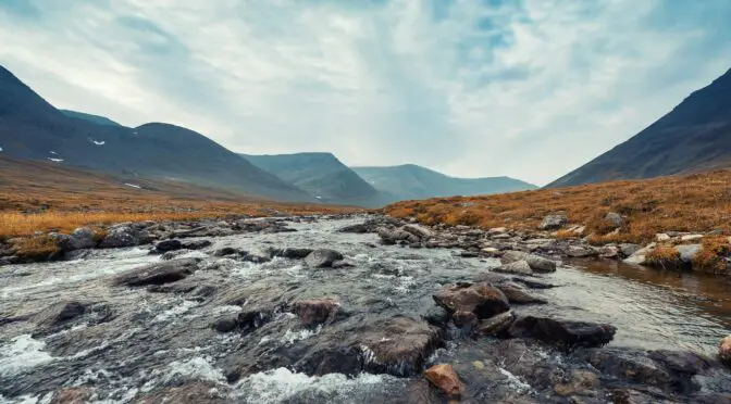 Leadership and the Art of Presenting an Atlantic Salmon Fly