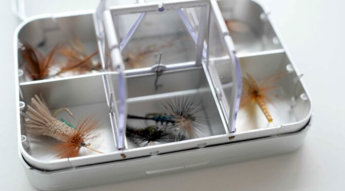 Best Fly Boxes on the Market – 2024 Buyer’s Guide