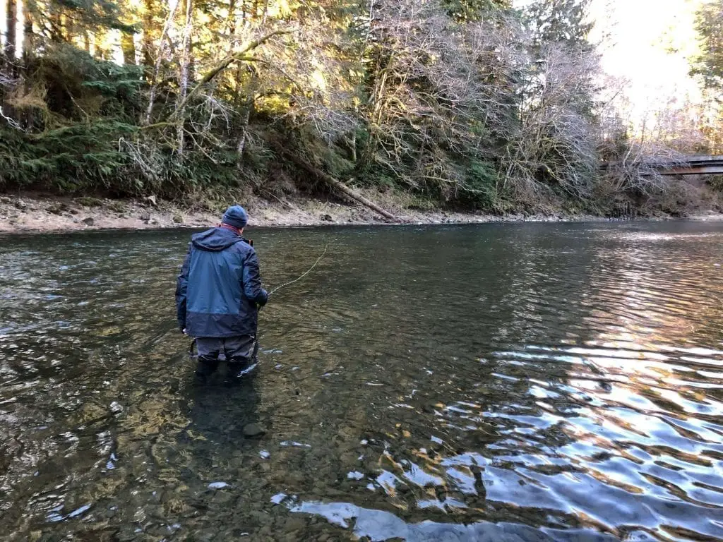 Steelhead fly fishing Swing Water