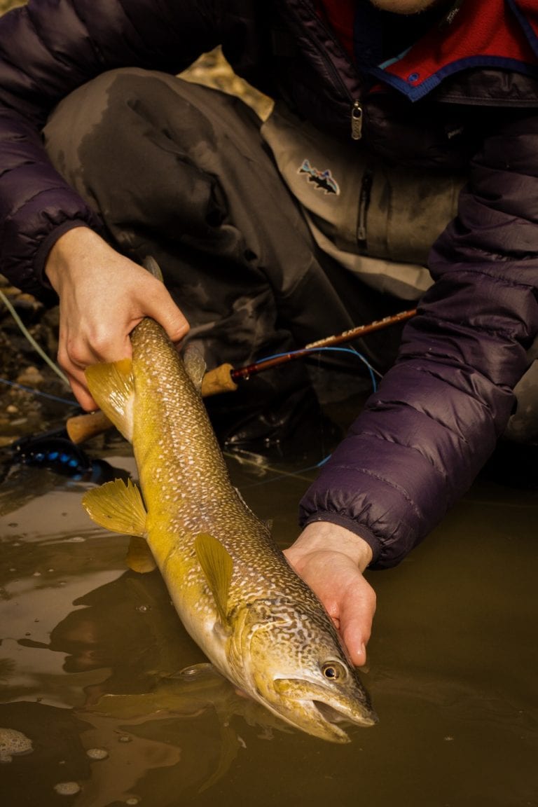Marble Trout A Season on Alpine Rivers Fly Fishing