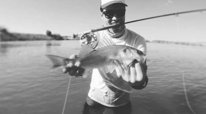 Fly Fishing in Portugal: Sea bass in the Algarve