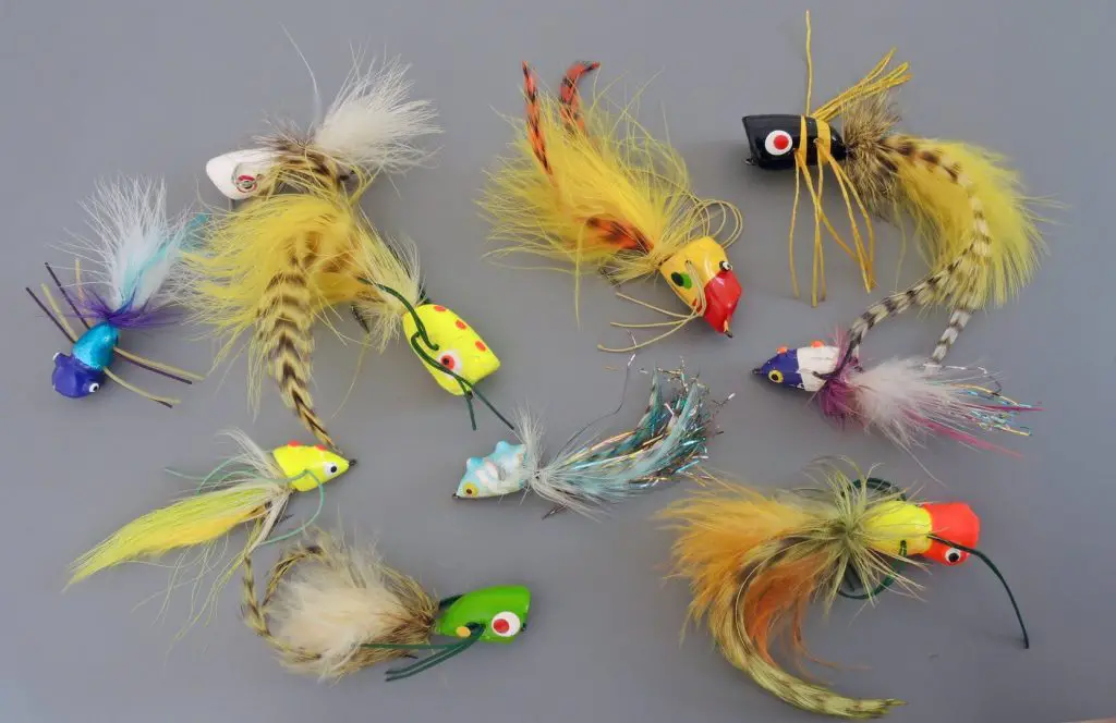 Various flies - fly fishing poppers