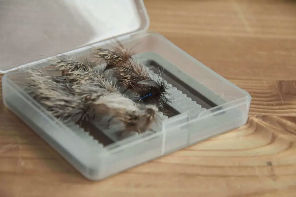 Dry flies in fly box