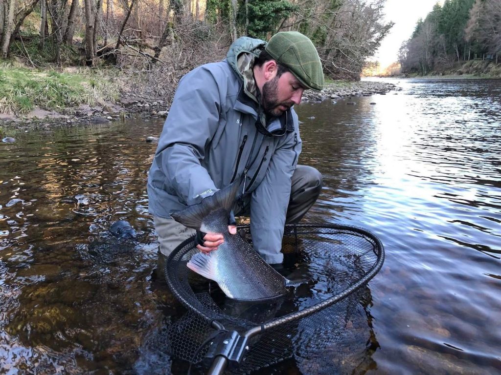 Multi Spawning Salmon Release