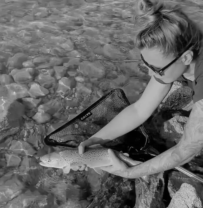 Lake trout release II