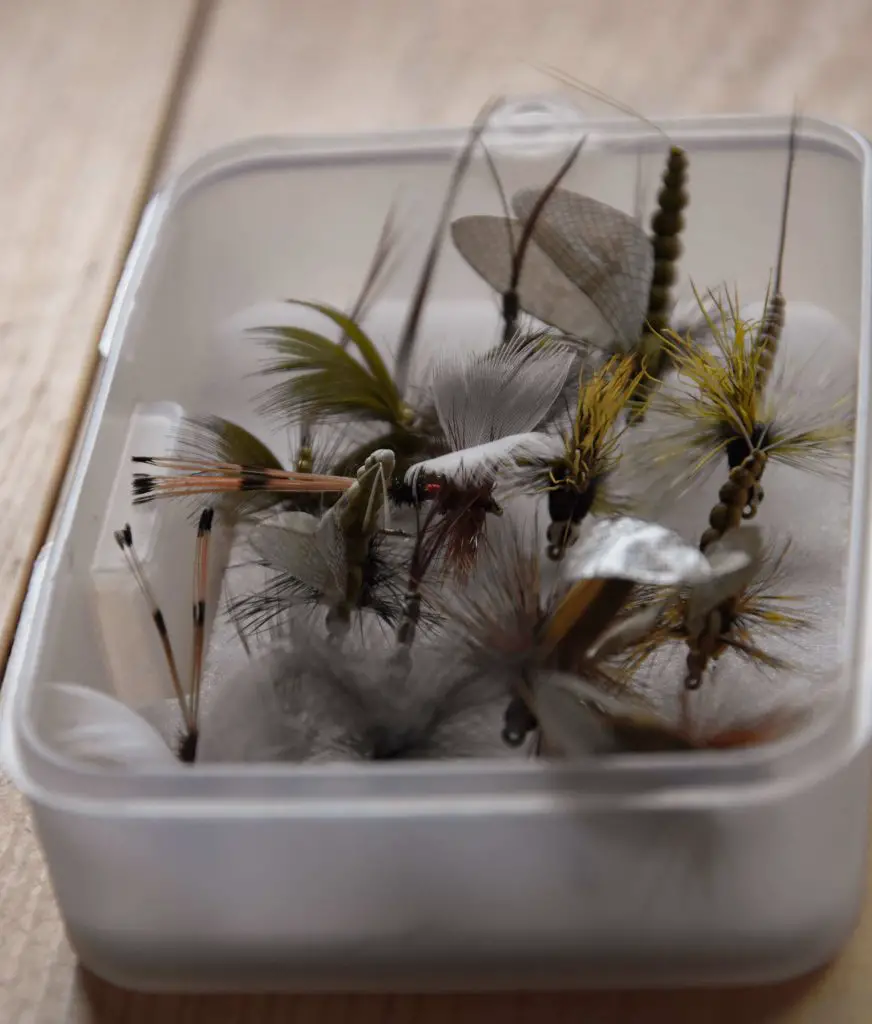 Mayflies in fly box