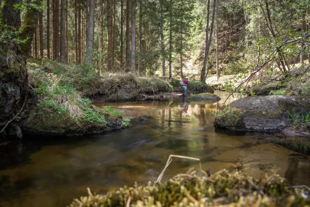 Fly Fishing Small Streams Careful Approach