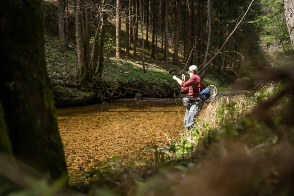 Fly Fishing Small Streams Casting