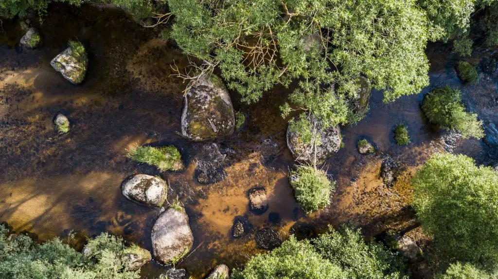 Fly Fishing Small Streams Aerial River View