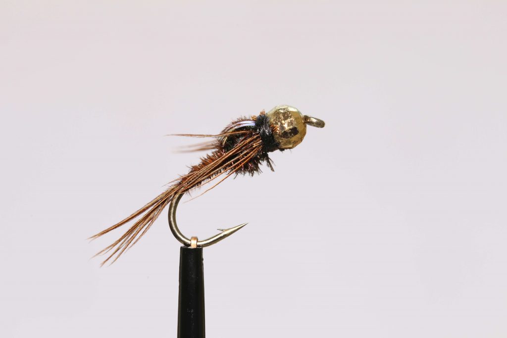 Tungsten gold flashback pheasant tail - one of the best euro nymphing flies