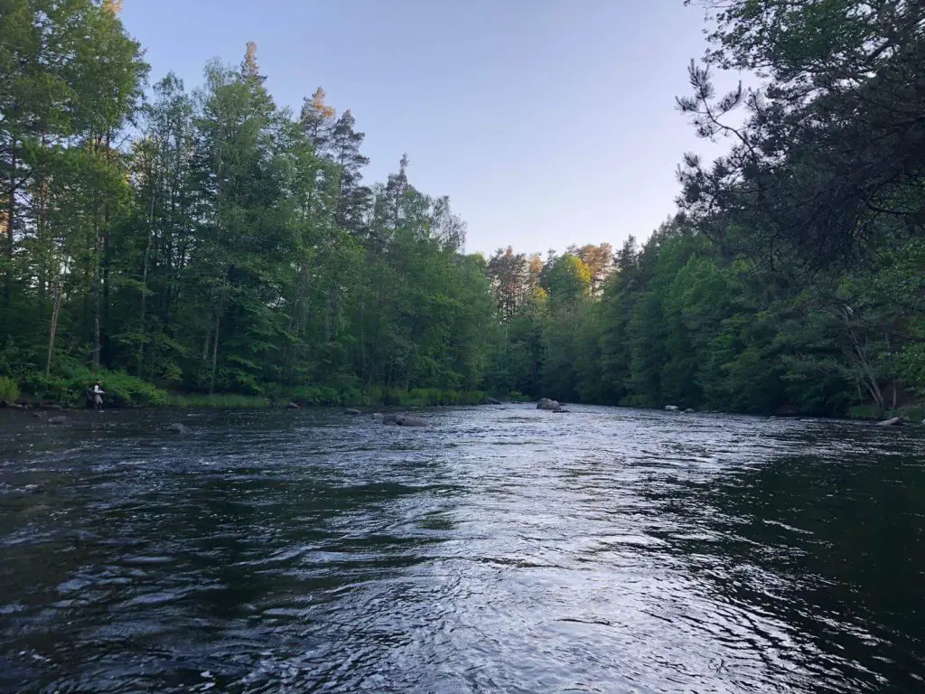 Salmon Fishing River Morrum at Night