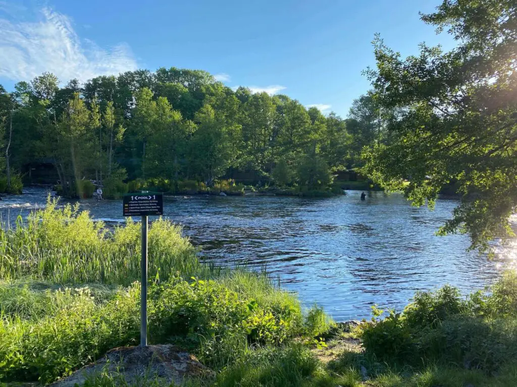 River Mörrum, Sweden