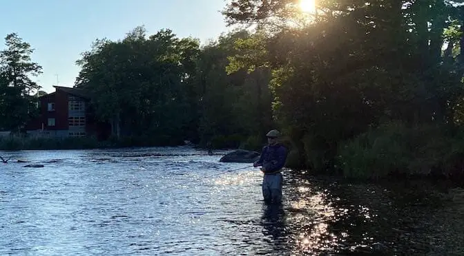 The Strange Addiction of Salmon Fishing