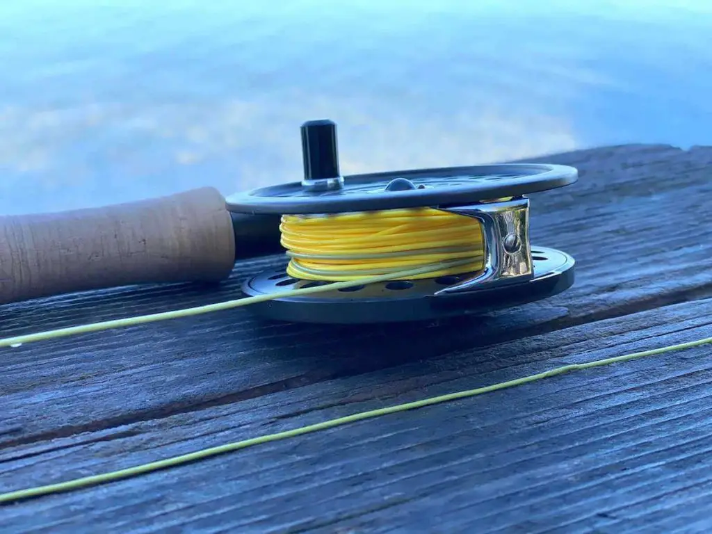 Elite Rio Gold Fly Line on Fly Reel