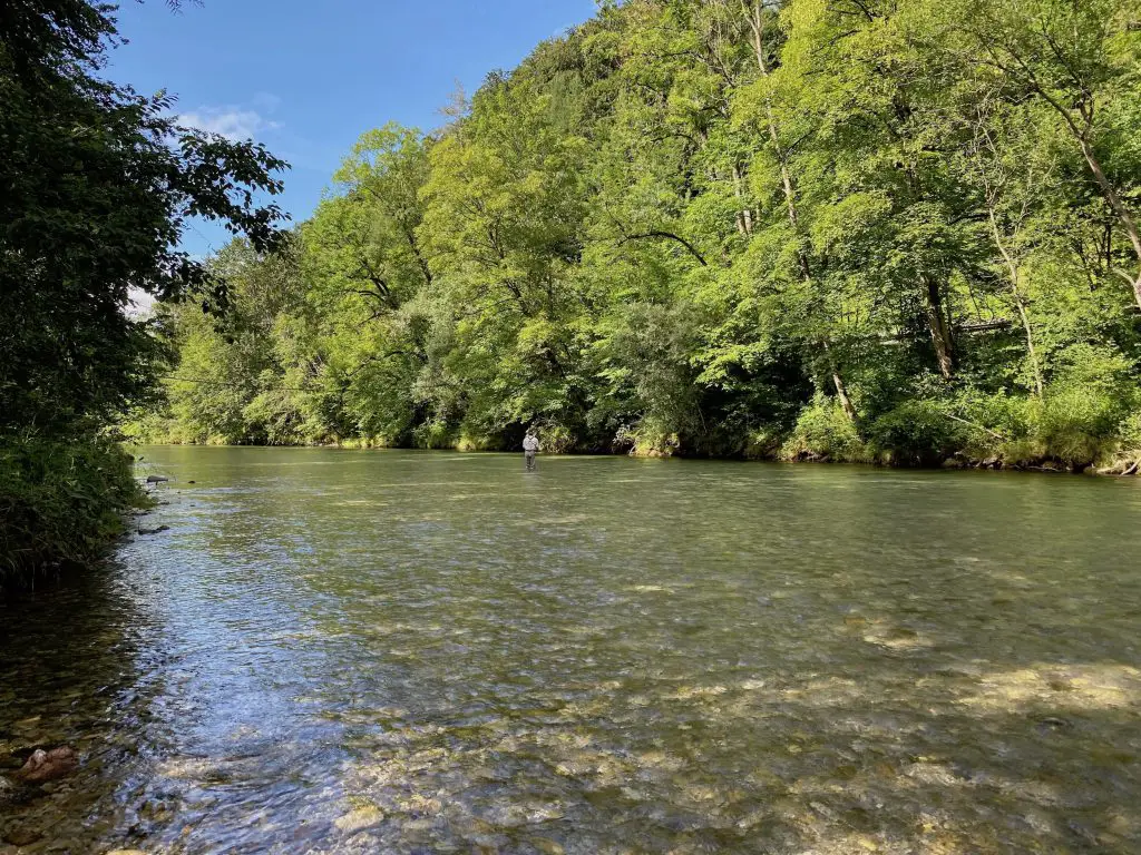 Rudi Heger - Deutsche Traun - Afternoon Fly Fishing Session