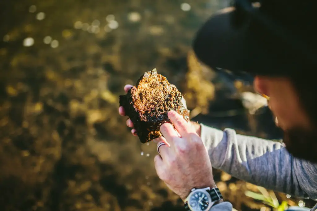 Checking nymphs while fly fishing Wisconsin