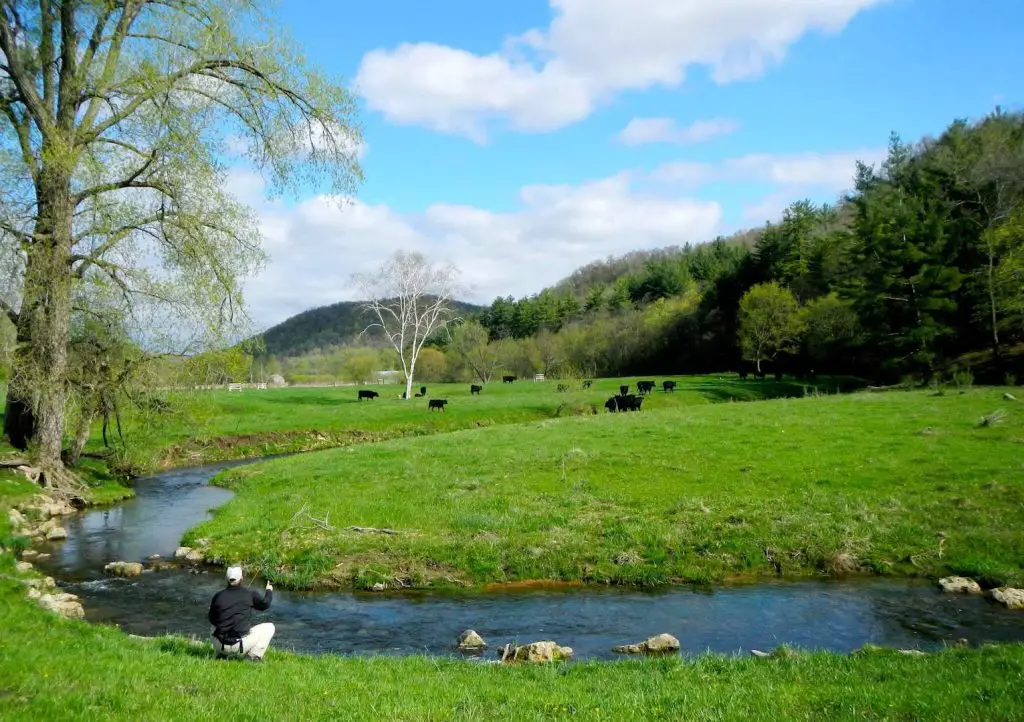 Fly Fishing Driftless Area: A small spring creek can hold big trout
