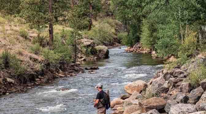 Euro Nymphing Rods, Reels & Setup: A Guide