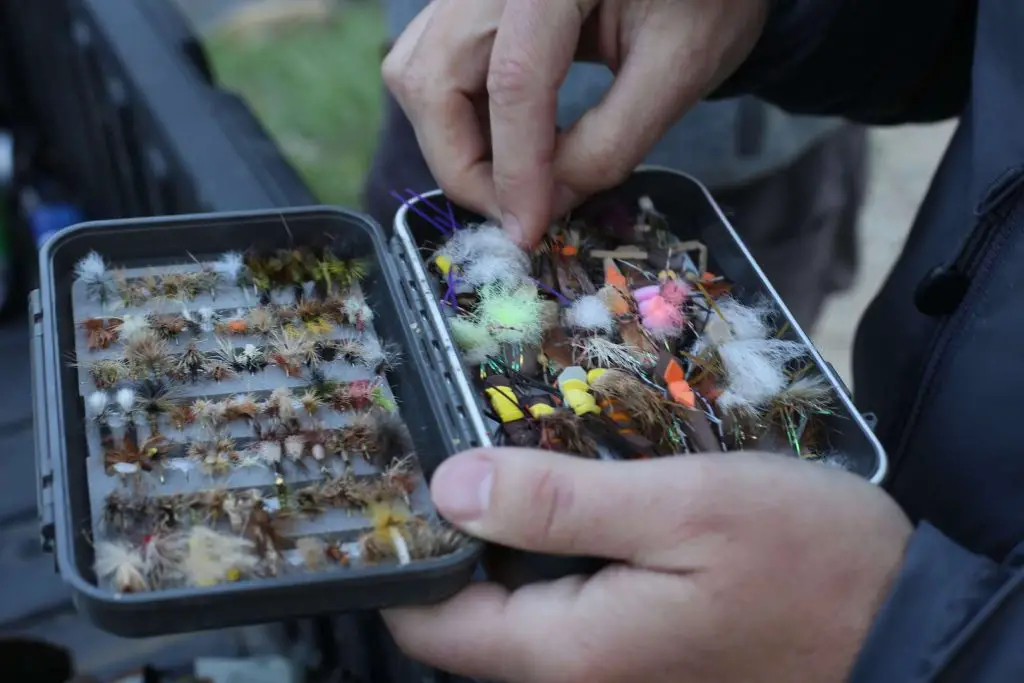 Picking a Streamer while Fly Fishing Wisconsin