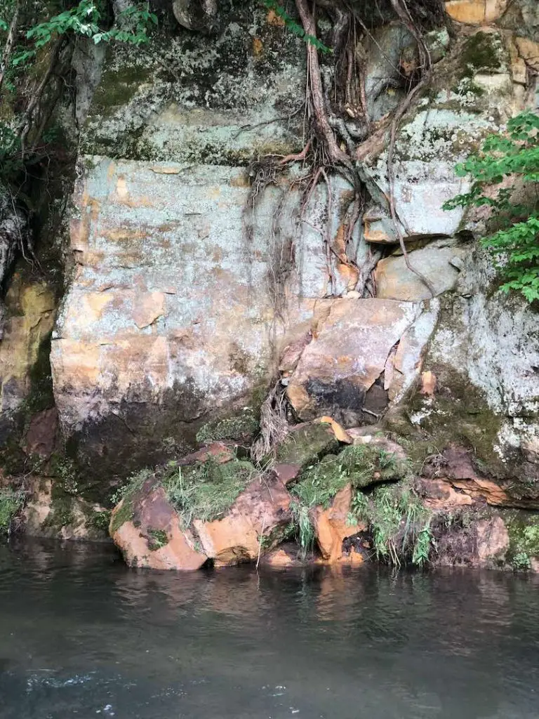 Fly fishing driftless area: beautiful wild creeks everywhere 