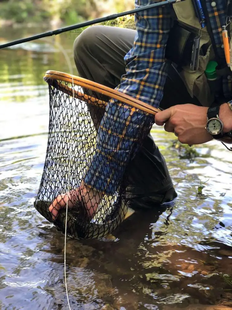 Fly Fishing Nets Review: Netting a Wild Brown Trout