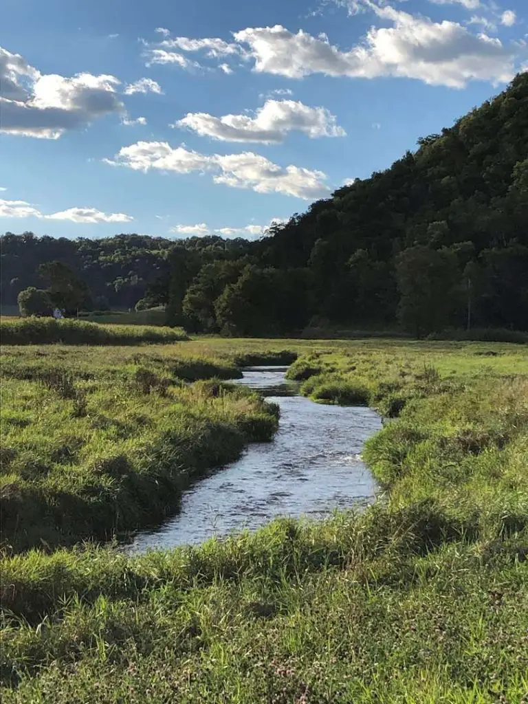 Fly fishing driftless area: it's hard to even pick a creek