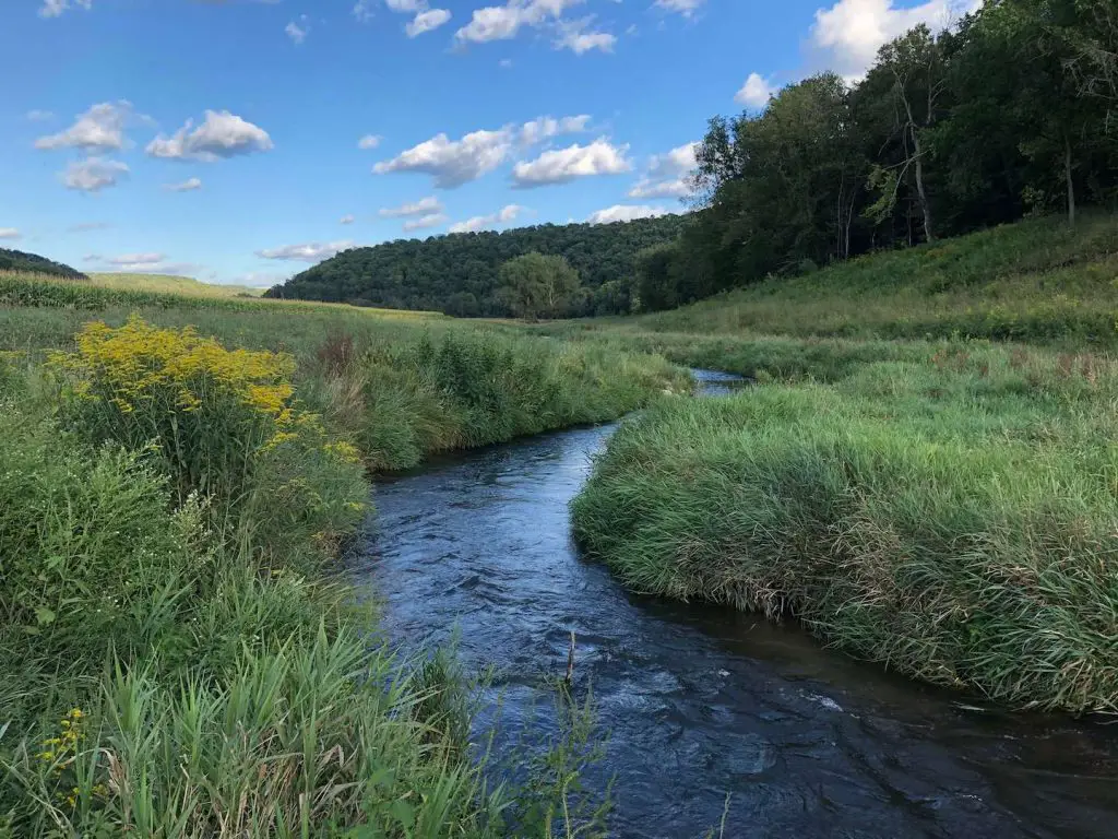 Fly Fishing Wisconsin: one of countless spring creeks in the Driftless Area