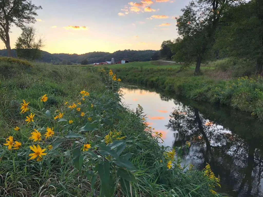 Fly Fishing Wisconsin: Spring Creek at Dawn