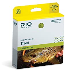 Rio Trout DT Fly Line