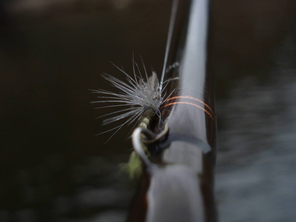 Fly connected to a fly line using fly fishing tippets