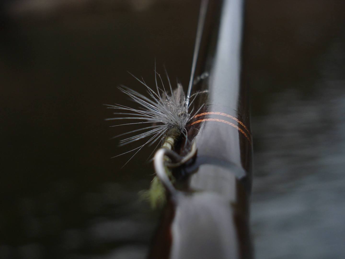 Fly Fishing Tippet All you Need to Know The Wading List