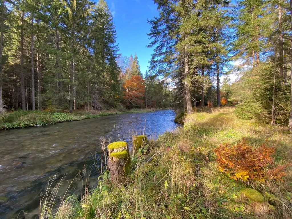 Autumn at the River Loisach, Austria