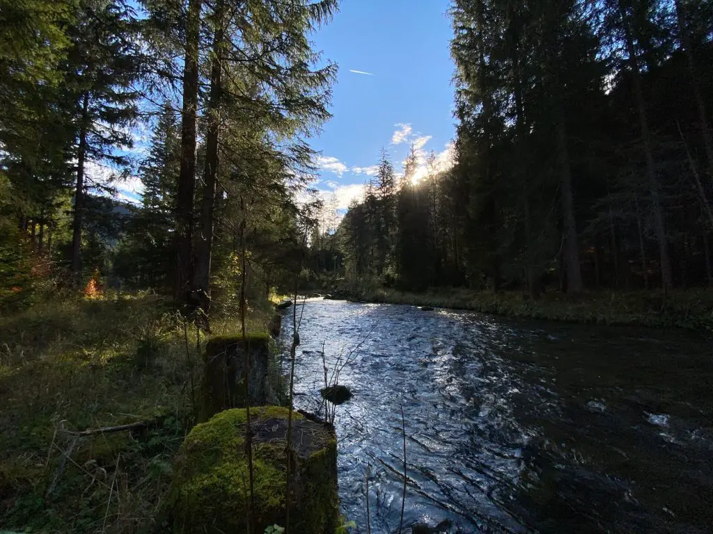 Fly Fishing Austria at the River Loisach