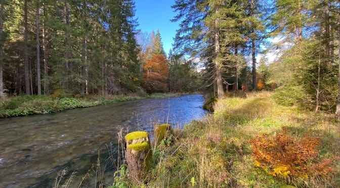 Fly Fishing Austria: Autumn at the Loisach