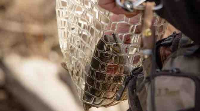 Best Fly Fishing Nets – Ultimate Buyer’s Guide 2025