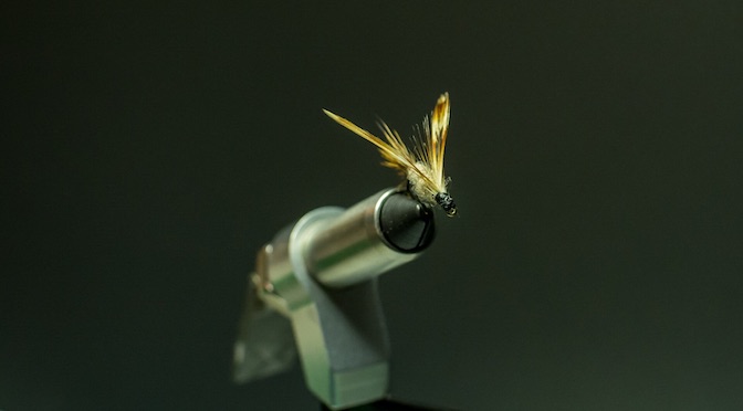 best beginner fly tying vise