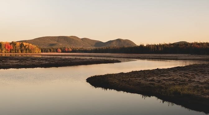 Can Maine Salmon Return for Good?